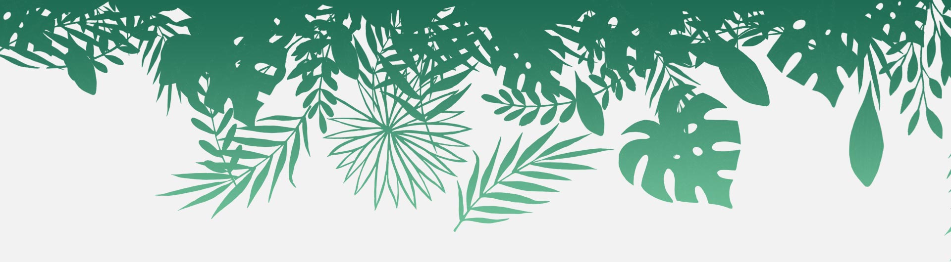 SOBRE NOSOTROS – NEREA YOGA | Tu Estudio de Yoga en Leioa